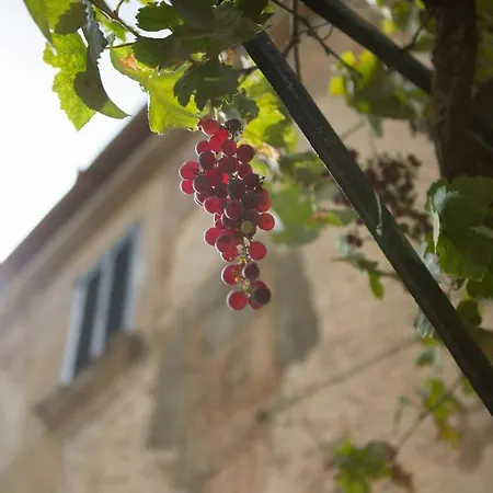 S'horabaixa Felanitx