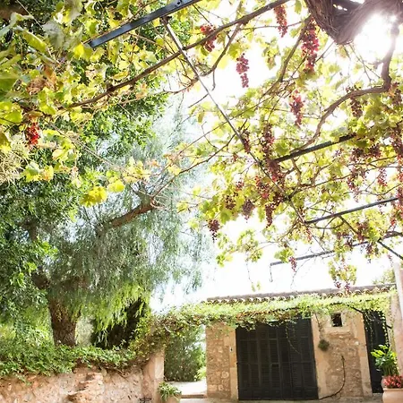 Bauernhof S'horabaixa *